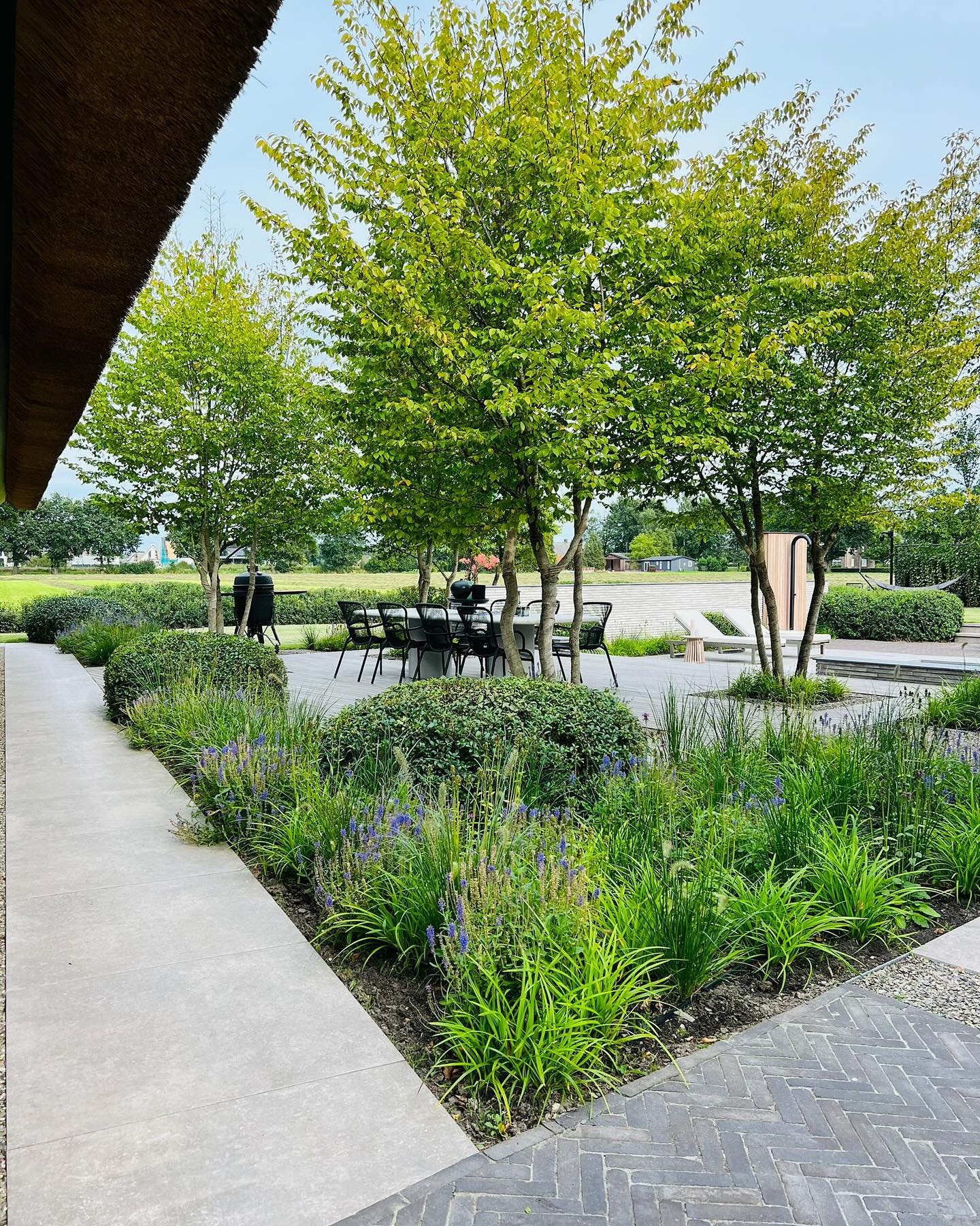 gallery-05